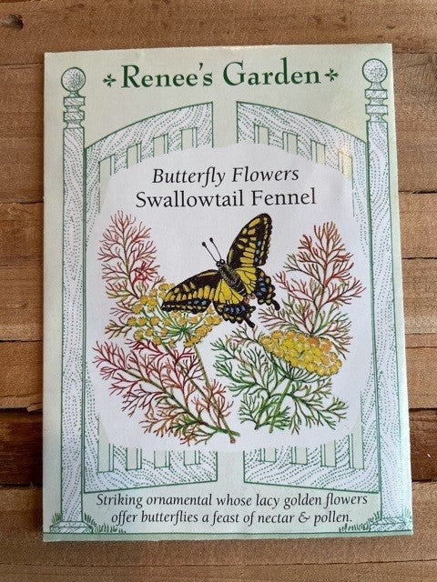 SEEDS/SWALLOWTAIL FENNEL #5458 BUTTERFLY FLWR  Plant Detectives   